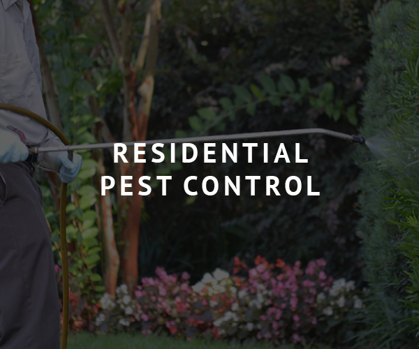 Brunson Residential Pest Control