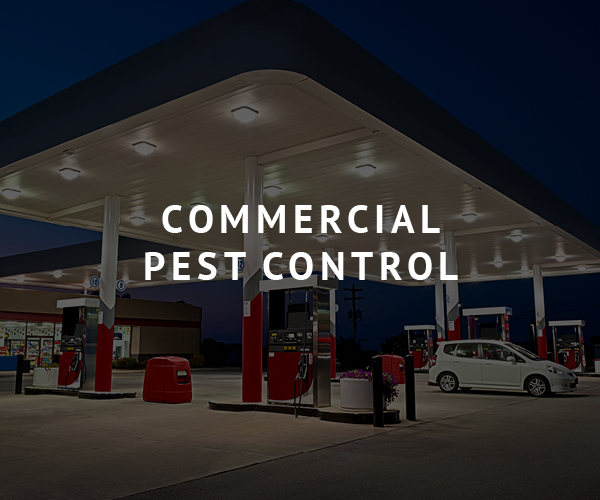 Brunson Commercial Pest Control