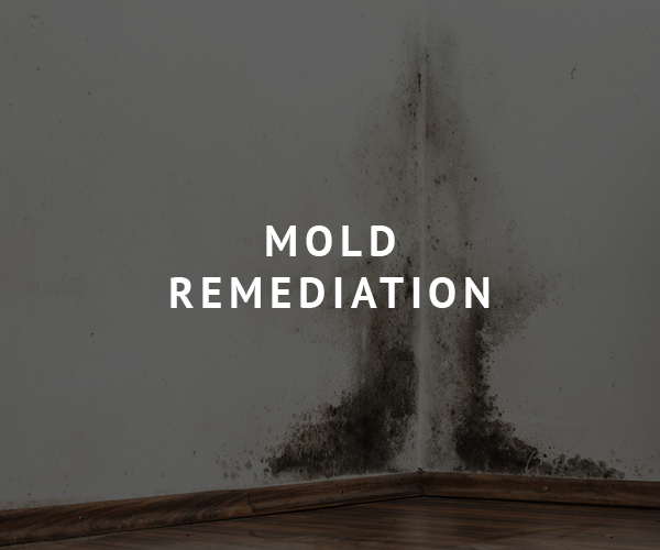 Brunson Pest Control Mold remediation