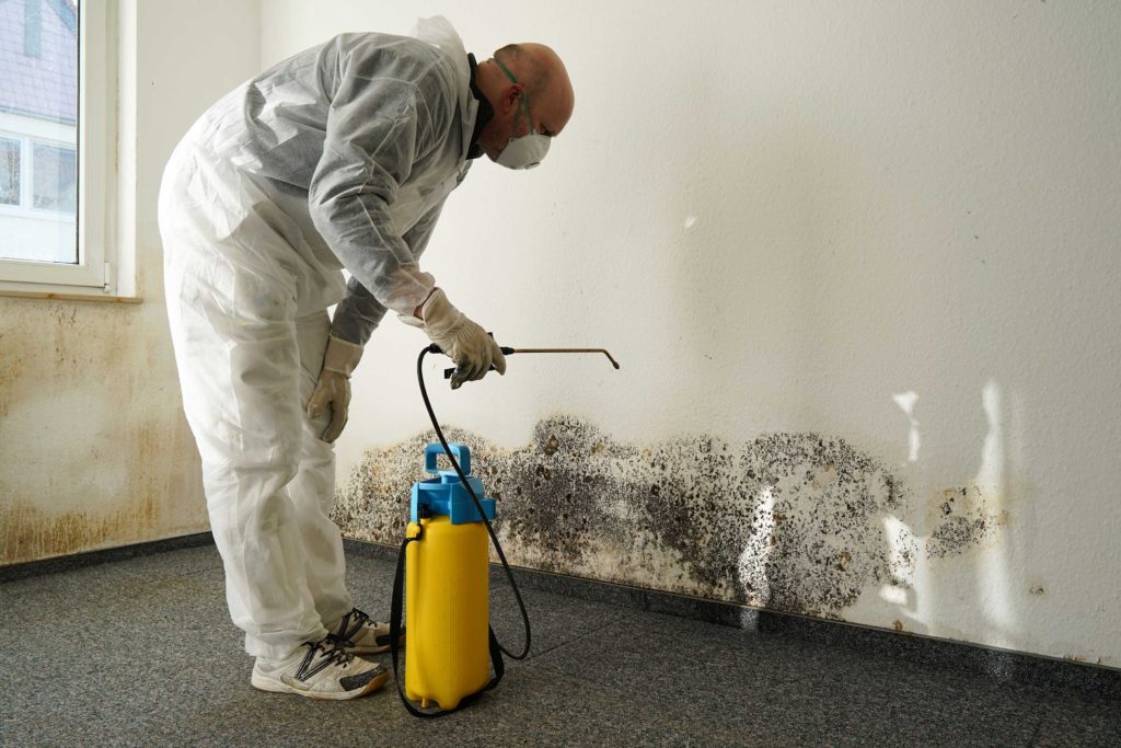 moldremediation - Brunson Pest Control